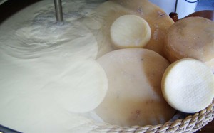 I-prodotti-della-terra-latte-e-formaggi